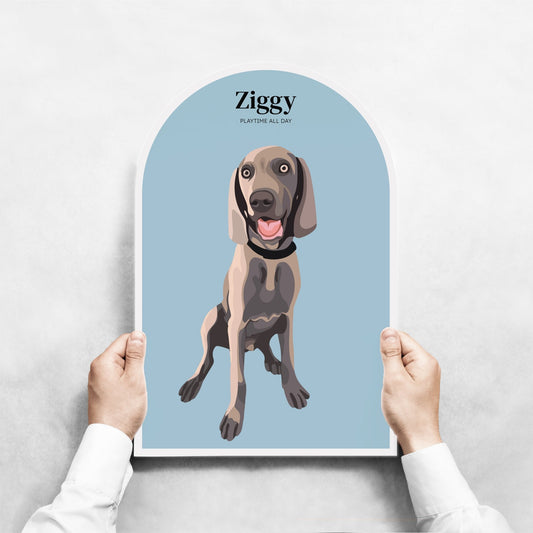 Moon PETBLOX - PhotoBLOX