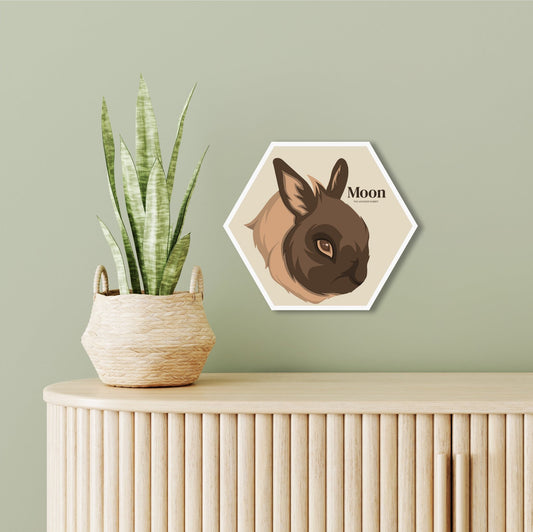 Honey PETBLOX - PhotoBLOX