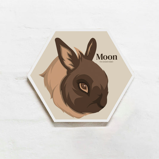 Honey PETBLOX - PhotoBLOX