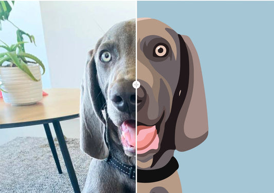 Moon PETBLOX - PhotoBLOX